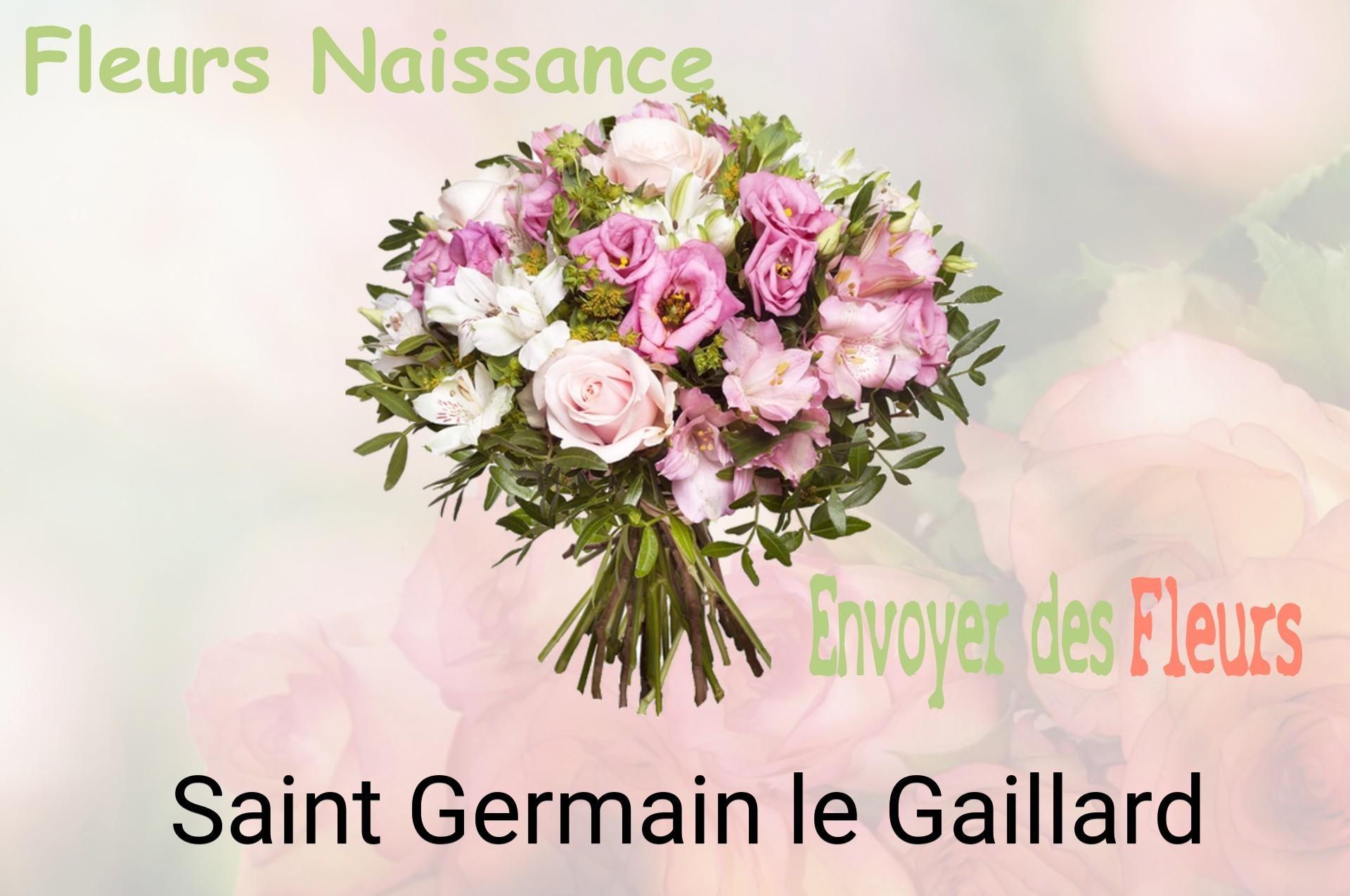 Bouquet de fleurs de naissance livré à Saint-Germain-le-Gaillard